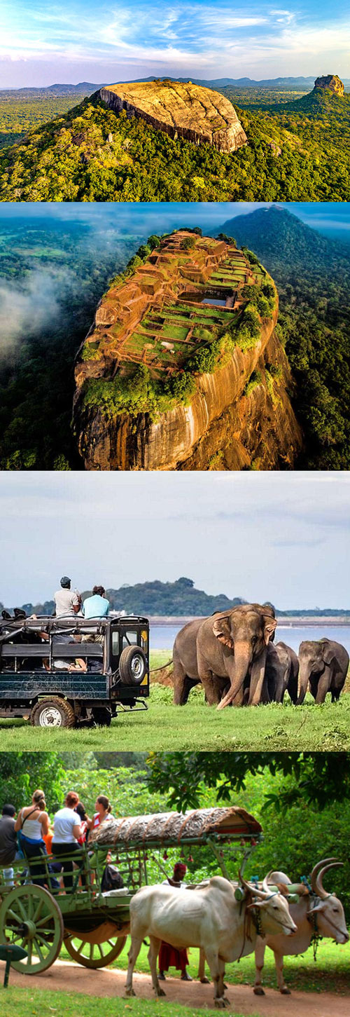 Sigiriya to Colombo – Rock Fortress & Panoramic Views