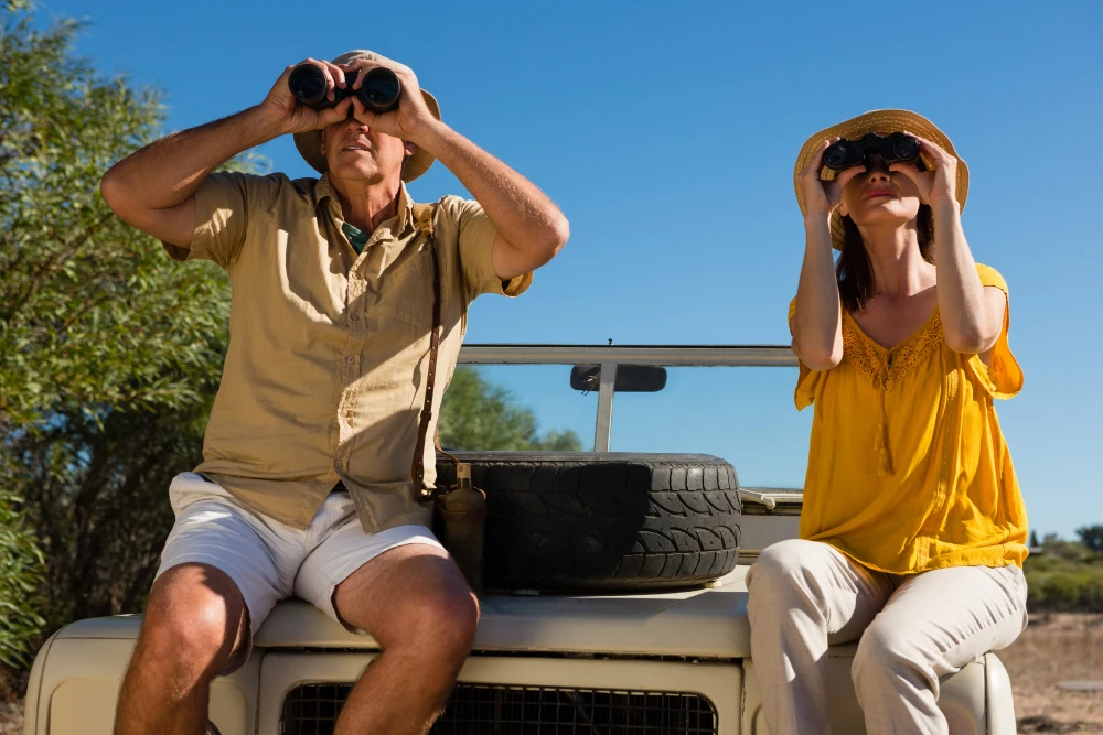 Safari Adventures in Sri Lanka: Your Guide to Seeing Wild Elephants and Leopards